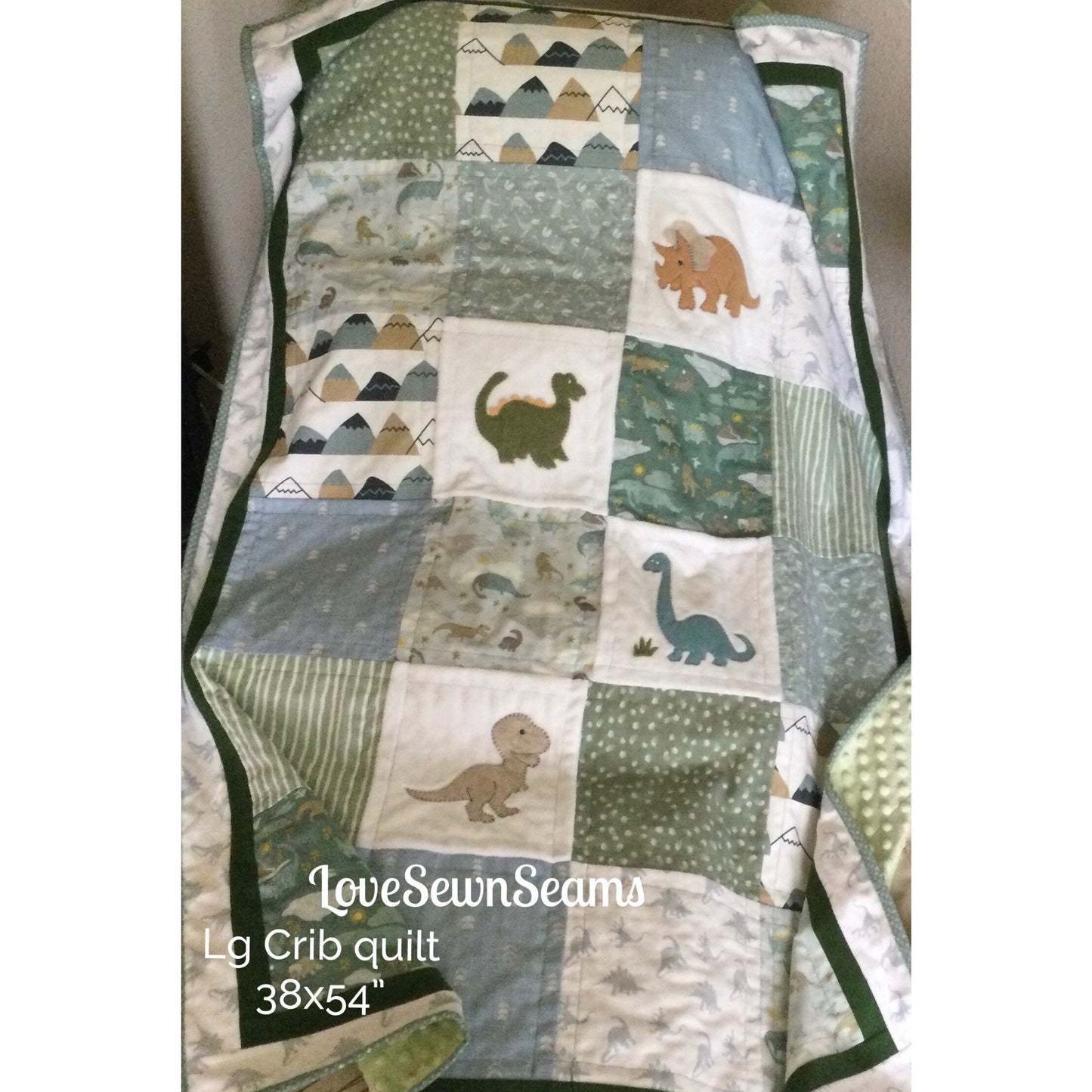 Dino quilt/Sage & Roar/Dinosaur quilt/Many size options